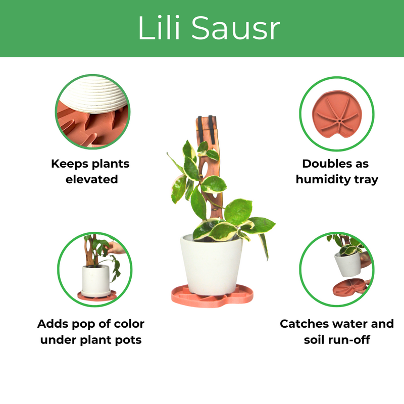 tray under potted plants Lili™ Sausr - Lilly pad shaped Saucer - Spill tray - Drip tray for houseplants
