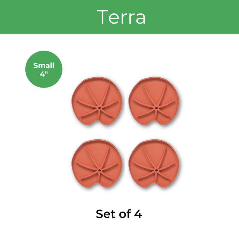 Lilipad shaped houseplant coaster for houseplants in teracotta color
