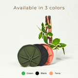 Lili Sausr in color green blakc teracotta stacked together against plant in white pot 