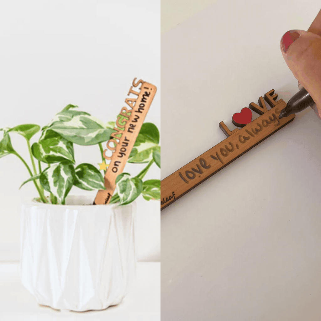 Celebration Stake Writable stake plant gift