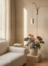 Luna™ Wooden Pendant Wall Mount