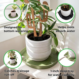 Potted plant with a wooden cactrella trellis and text highlighting features, on a white surface.