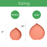 Sizing chart for terracotta mia saucer for potted houseplants with 'Medium' and 'Large' labels and measurements.