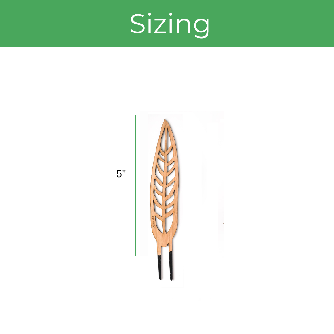 Wooden leaf-shaped trellis with measurement label on a white background