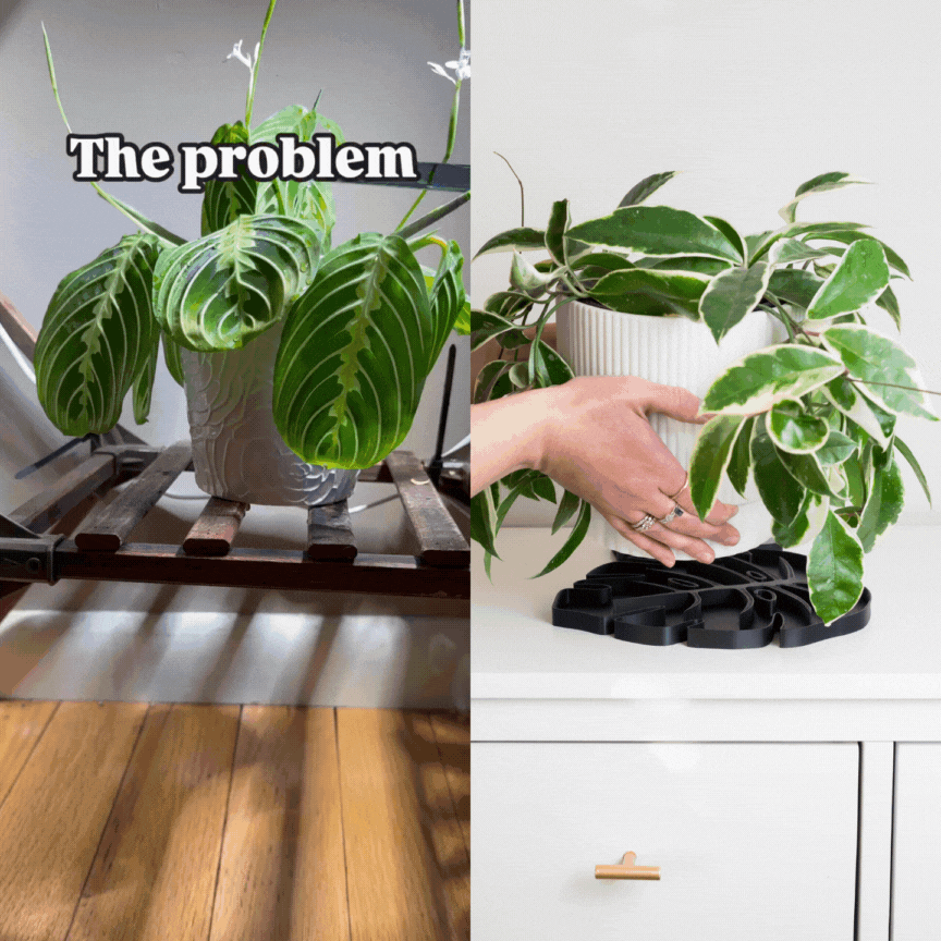 Monstera leaf shaped coaster for houseplant pot humidity tray waterproof 