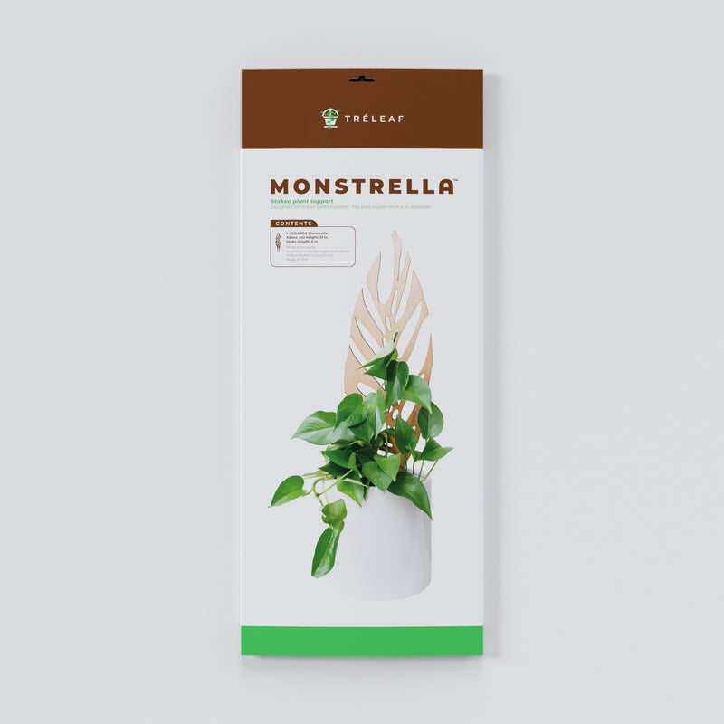 trellis for monstera plant Stake Monstrella /Monstera Silhouette Grande Cherry Treleaf