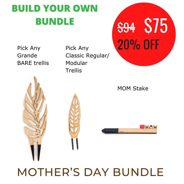 Mother's day Bundle - Build your own