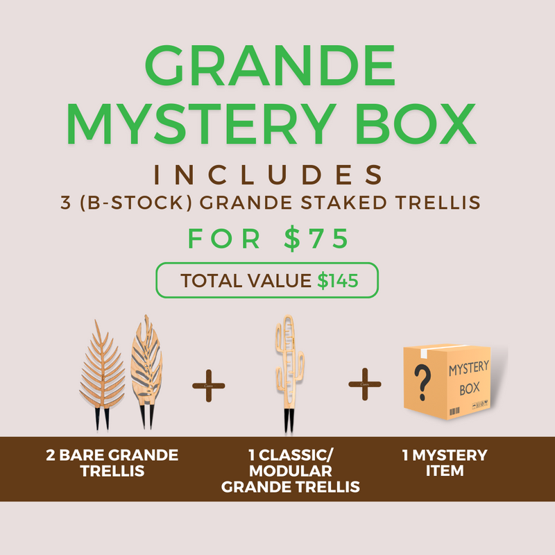 B-Stock Grande Mystery Box
