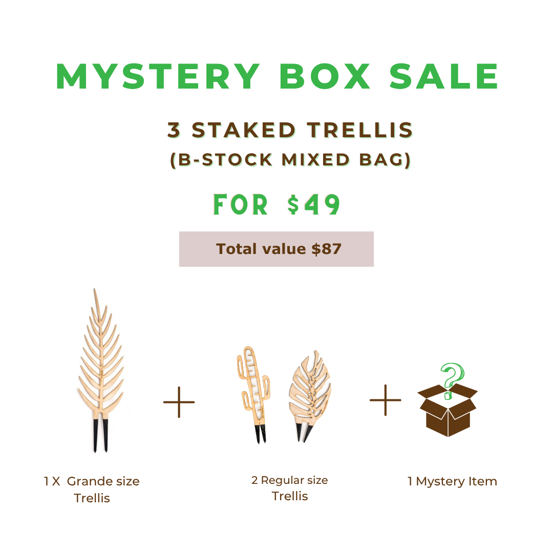B-Stock Mix Mystery Box - 1 X Grande Trellis + 2 X Regular Trellis