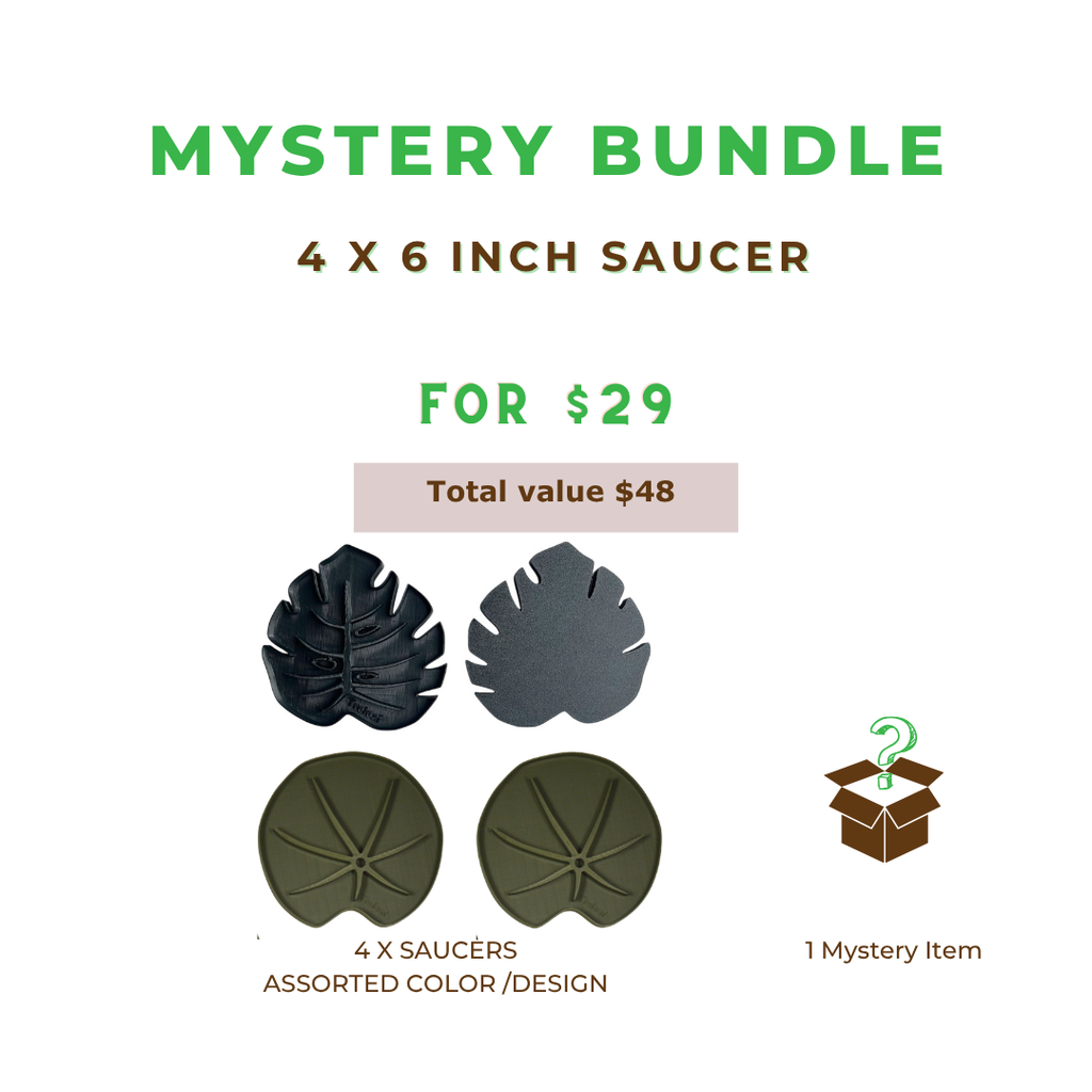 Sausr Bundle B Stock 4 X 6 inch Saucers