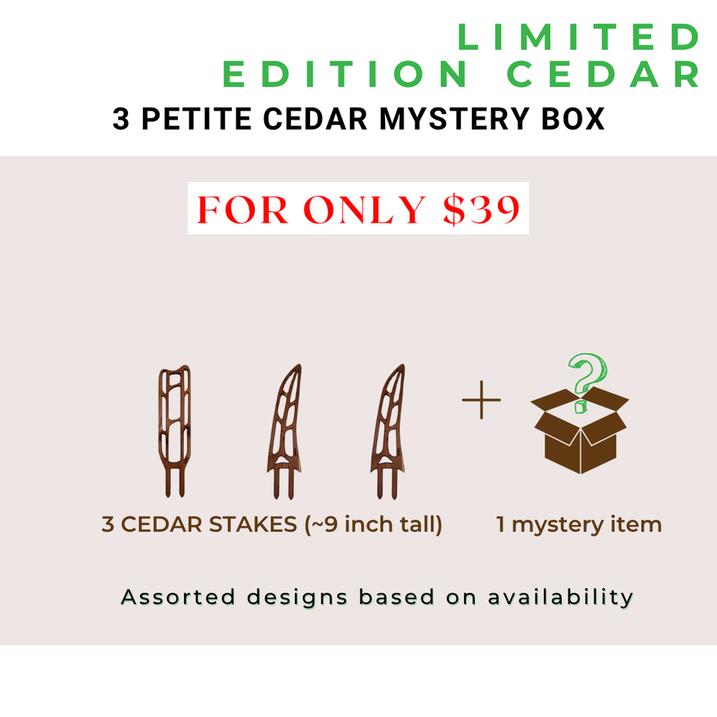 Limited Edition Cedar Trellis Mystery Box 3 X Petite