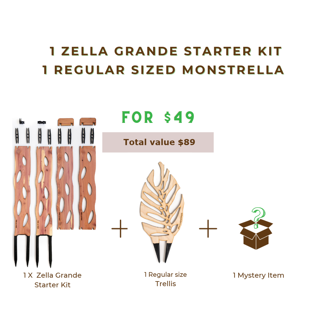 Mix Bundle- B-Stock -1 X Grande Starter Kit + 1 X Regular BARE Monstrella