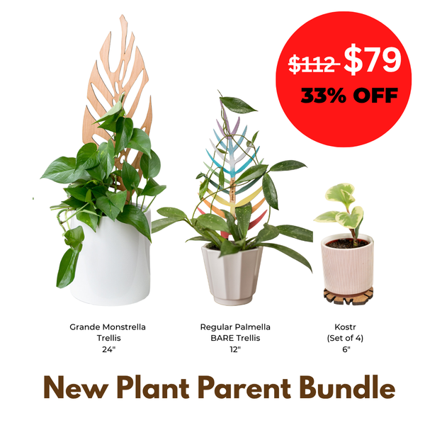 New Plant Parent Bundle - Gift for beginner plant parents