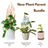 decorative houseplant accessories including a Grande Monstrella Trellis, Regular Palmella BARE Trellis, and Kostr Pot Coasters on a white background.