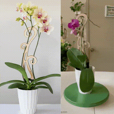 BARE™ Flora™ Customizable wooden plant support Perfect Orchids