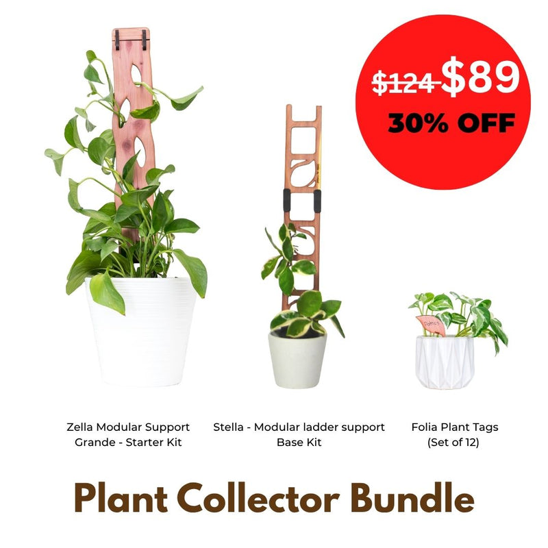 Plant Collector Bundle - Gift for climbing plant lovers