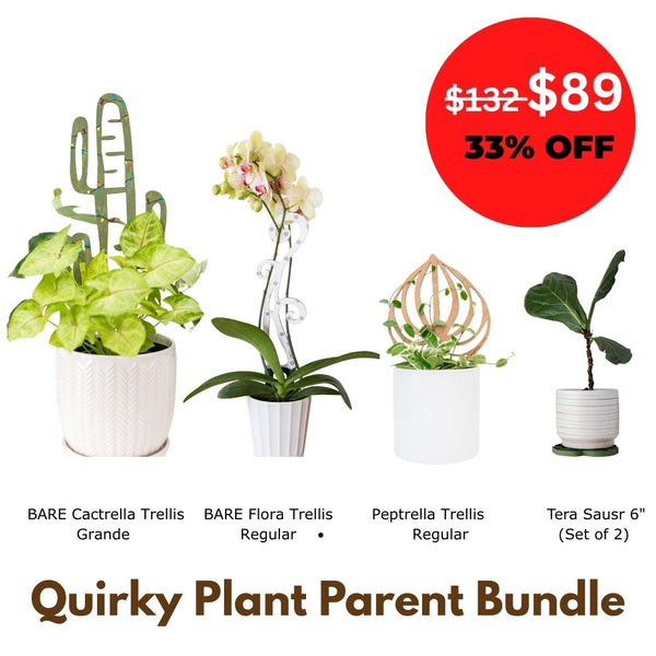 Quirky Plant Parent Bundle - Gift for the plants and decor lover