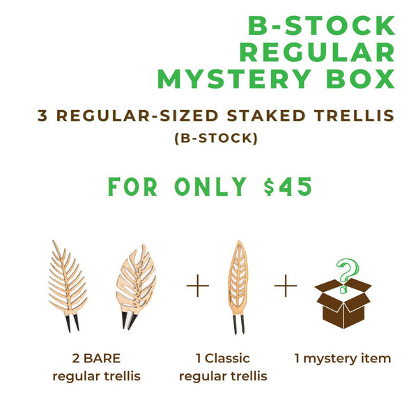 B-Stock Regular Mystery Box