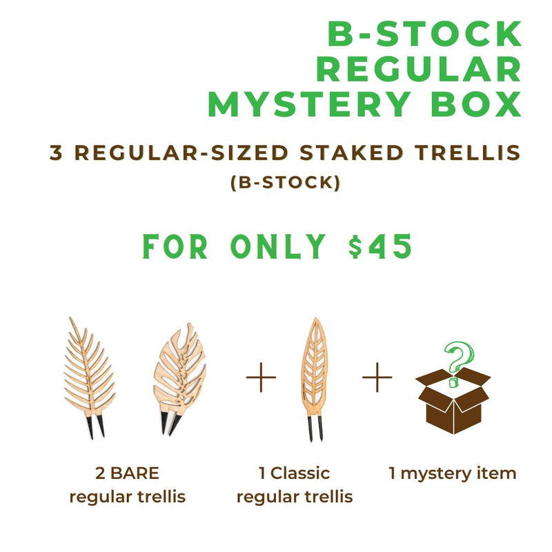 B-Stock Regular Mystery Box