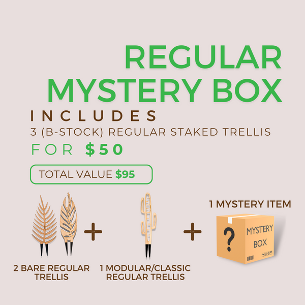 Mystery Box – Bargains & Bundles