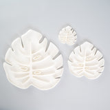 Sausr in white color in 3 sizes 4 inch, 6 inch & 10 inch for houseplants
