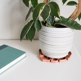 Sausr plant coaster in terracotta color with hoya houseplant in white plant pot