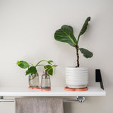 Sausr terracotta houseplant saucer display 3-d printed with pothos plant 
4 inches & 10 inches diameter 