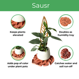 Sausr elevates plants, acts as humidity tray, adds color pop to plant pot, catches water & soil run-off
