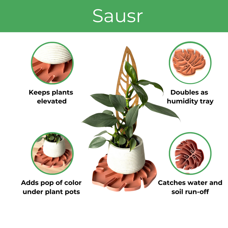 Sausr elevates plants, acts as humidity tray, adds color pop to plant pot, catches water & soil run-off
