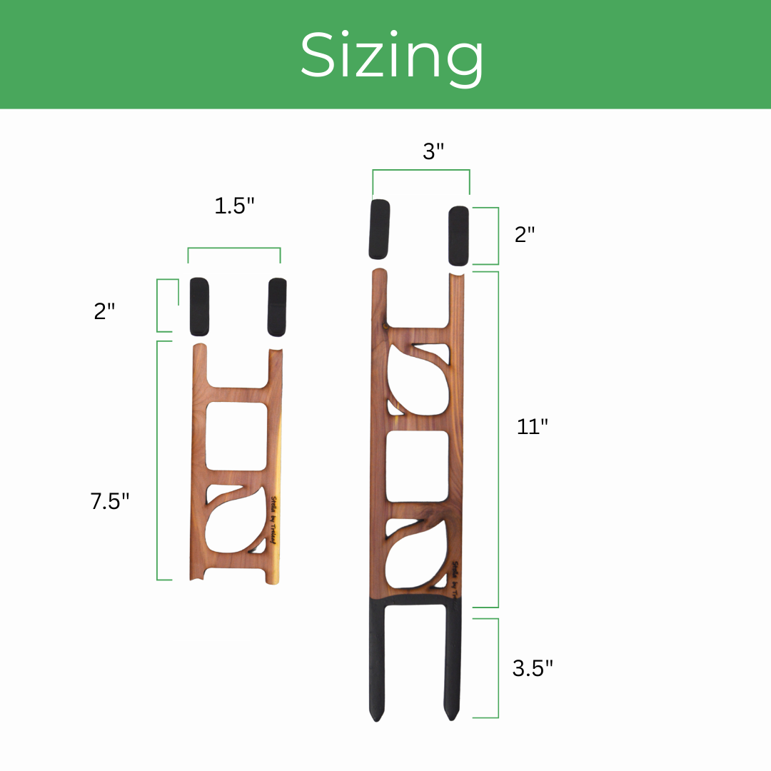 Stella modular ladder trellis made of cedarwood , stackable, plant support, ladder design for vining plants sizes