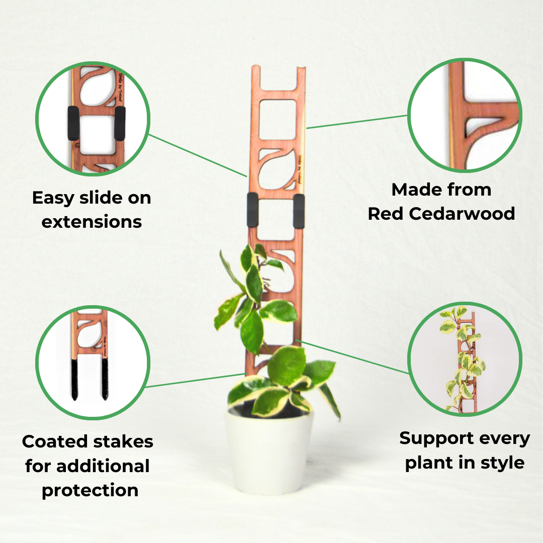 Stella modular ladder trellis features like made of cedarwood , stackable, plant support, ladder design for vining plants