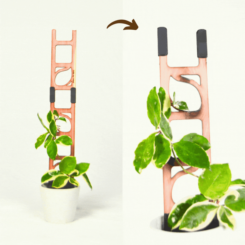 Stella Modular ladder support