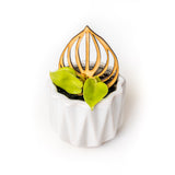 tiny philodendron houseplant with pepperomia shaped wooden trellis in a white pot on a white background 