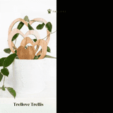 Trellove - Plant trellis inspired by Hoya Kerrii