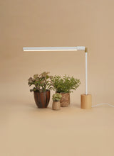 Versa™ Tabletop Grow Light