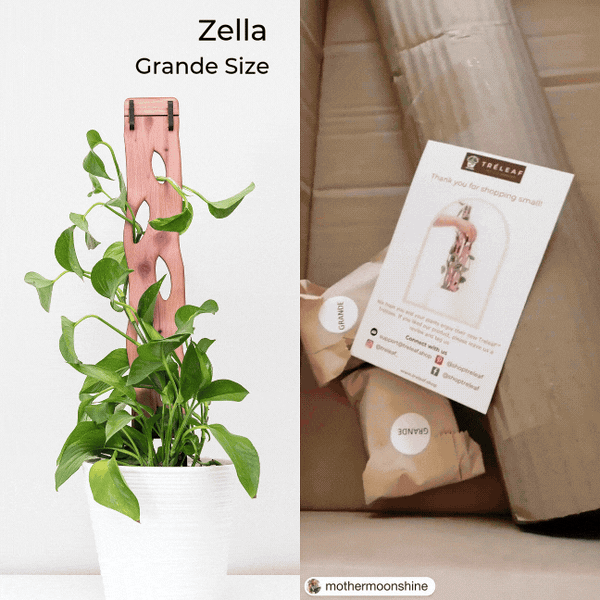 treleaf plant trellis Zella - Wooden Extendable Plant Support Regular Base Kit
