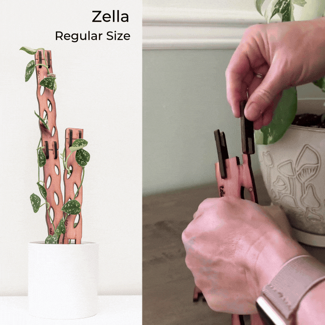 Zella Wooden Extendable Plant Support