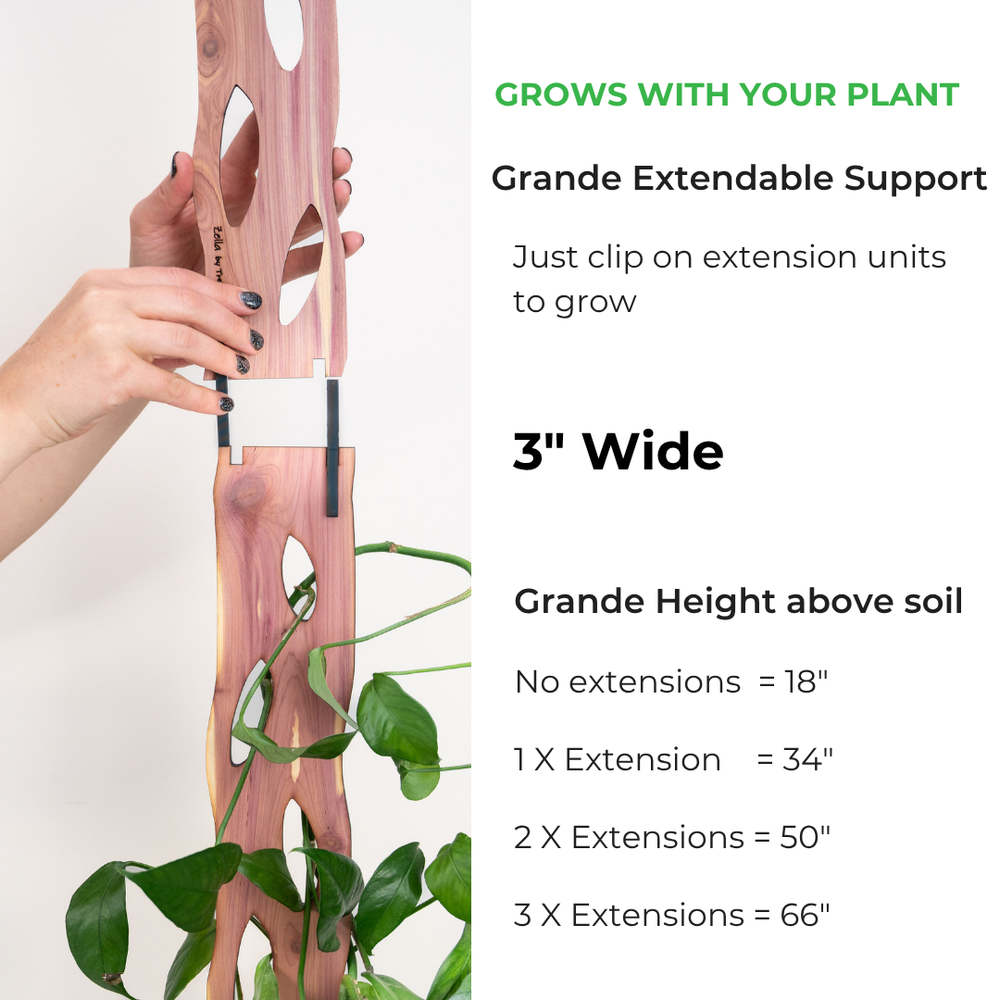 Zella_grande_extension_length_ Zella_grande_extension_length_