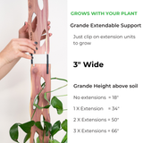 Zella Wooden plant support grande with text on extension heights