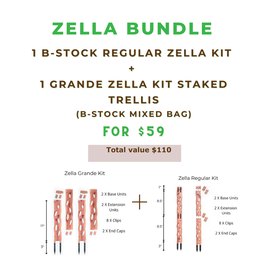 Zella Bundle B Stock Wooden Extendable Plant Support