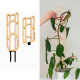 bella modular wooden plant trellises base kit and a hand placing a plant on one of them against a white background.