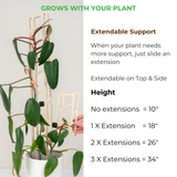 bella modular wooden Plant support system with extendable extensions and plant growth information.