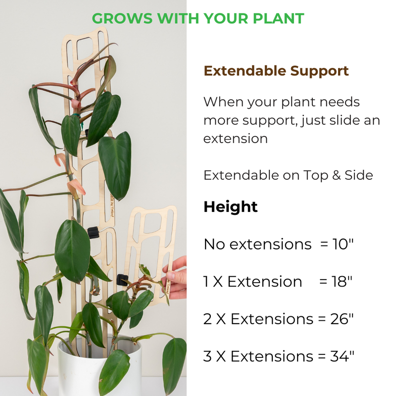 bella modular wooden Plant support system with extendable extensions ...