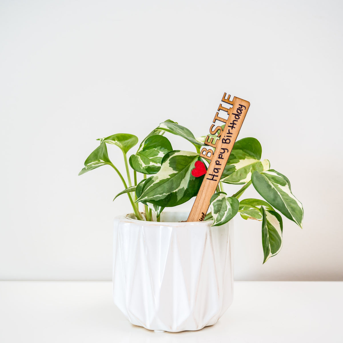 Celebration Stake - Writable stake for plant gift