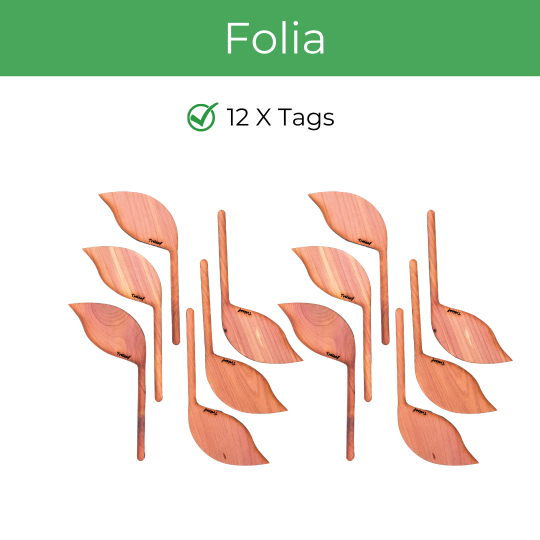 folia wooden plant tag set of 12 features as double sided writeable deisgn, rot and moisture resistant cedarwood, long stake for stability and making plant stylish.