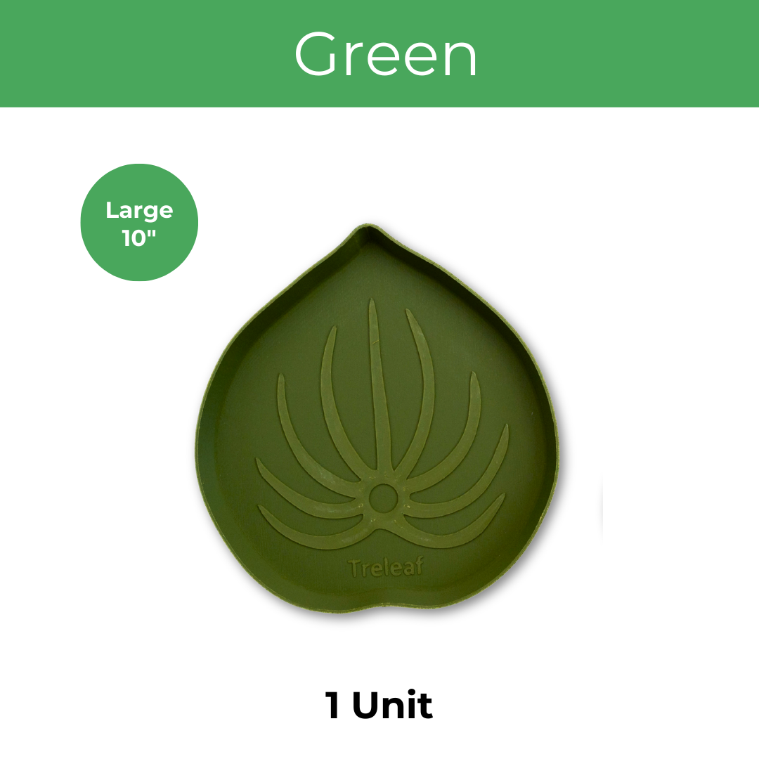 Green leaf-shaped mia houseplant suacer '1 Unit' large 10 inch size on a white background