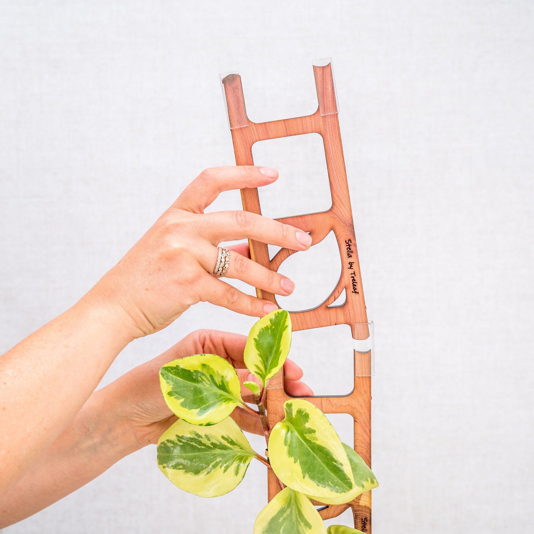 Stella - Modular ladder support