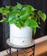 Classic 11" Drain Drawer Pot