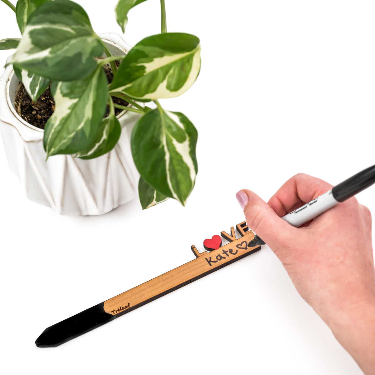 Celebration Stake - Writable stake for plant gift