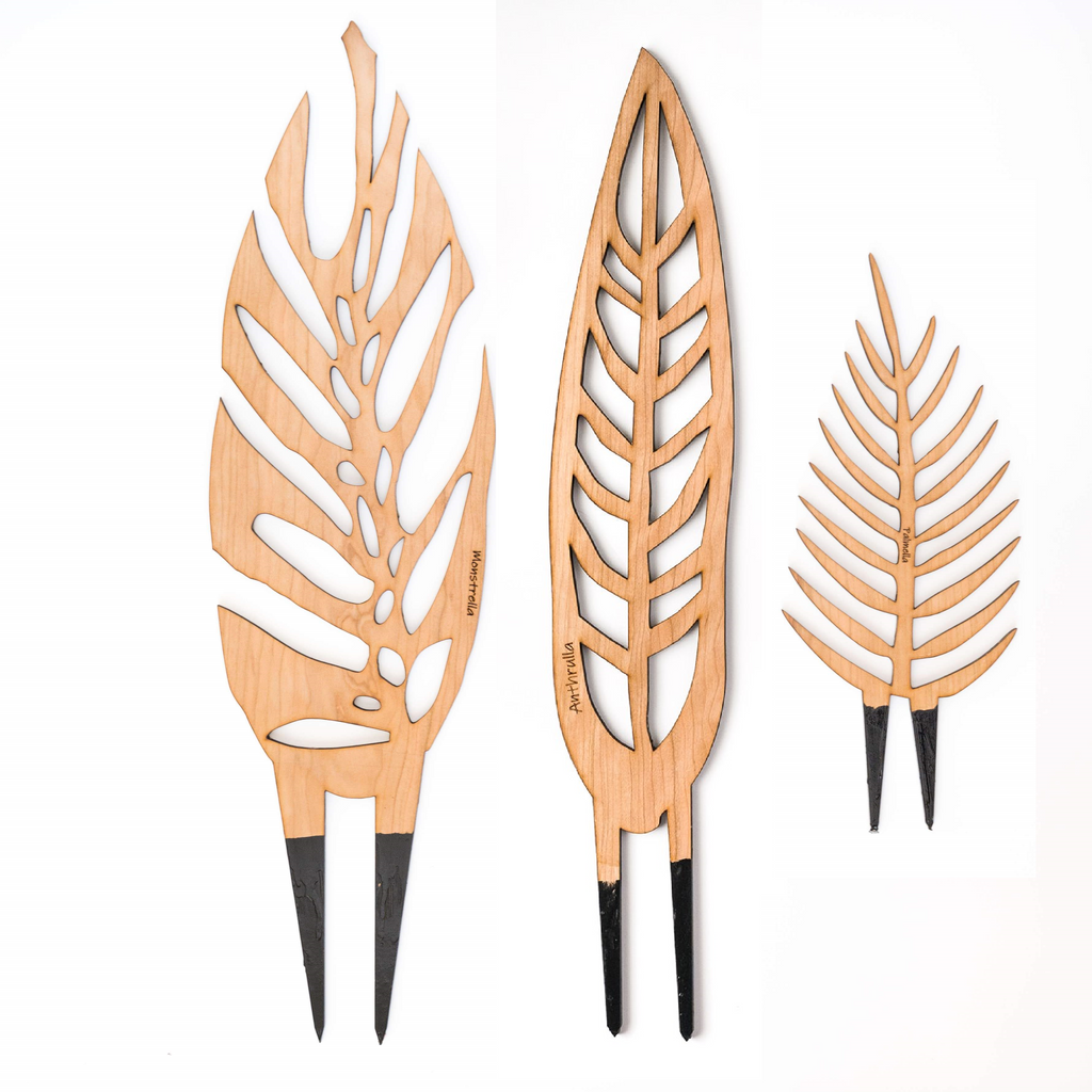 Classic Trellis Bundle 2X Grande 1X Regular